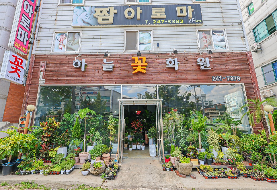 하늘꽃화원 이미지