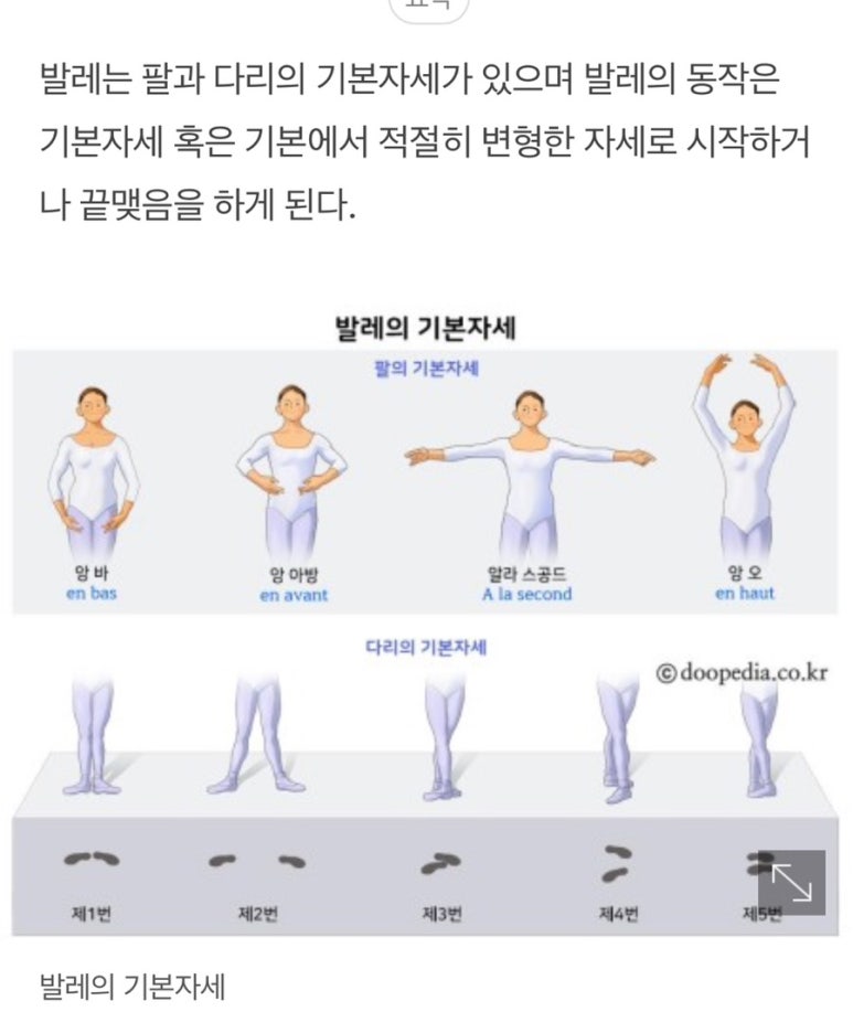 로엘발레아카데미학원 이미지