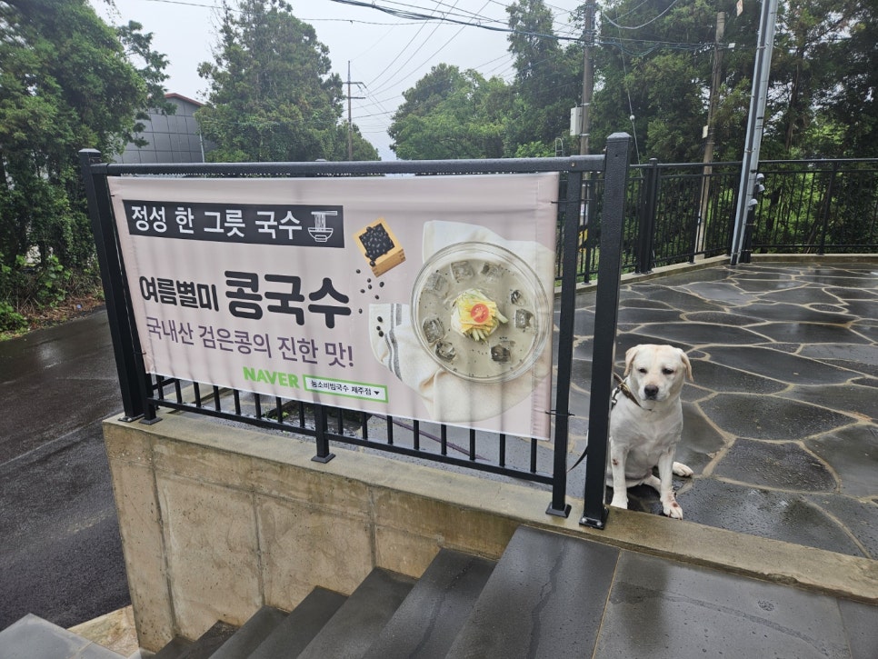 제주국수 이미지