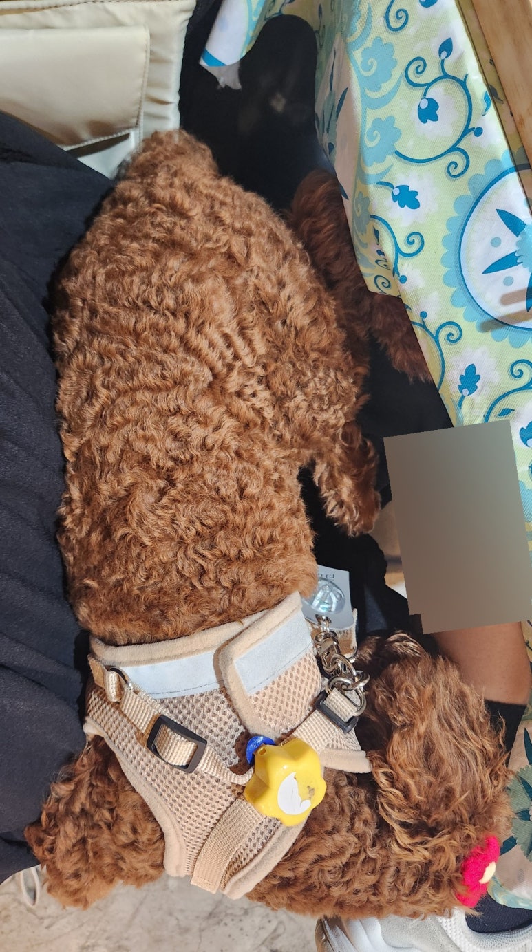 상훈이네참치&초밥 이미지
