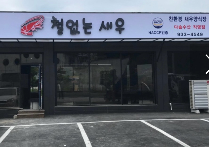 철없는 새우 이미지