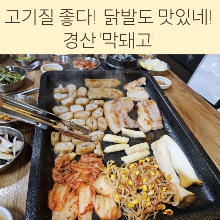 막돼고 이미지
