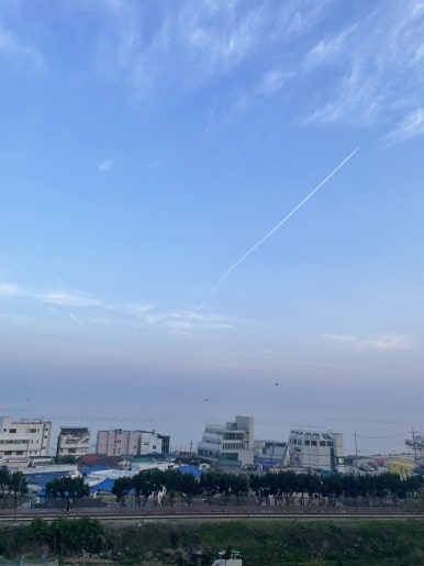 빙수당국제점 이미지