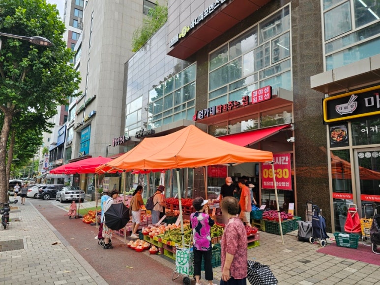 청년장보고 이미지