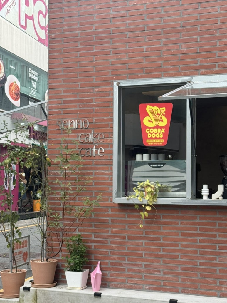 센노케이크 이미지