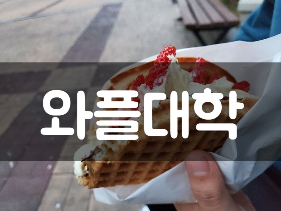 와플대학수원화서캠퍼스 이미지