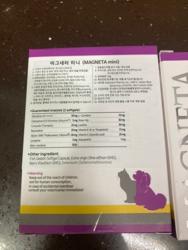 마그테 이미지