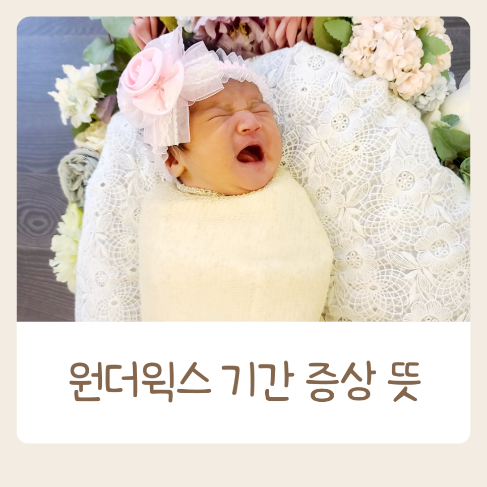 원더웍스 이미지