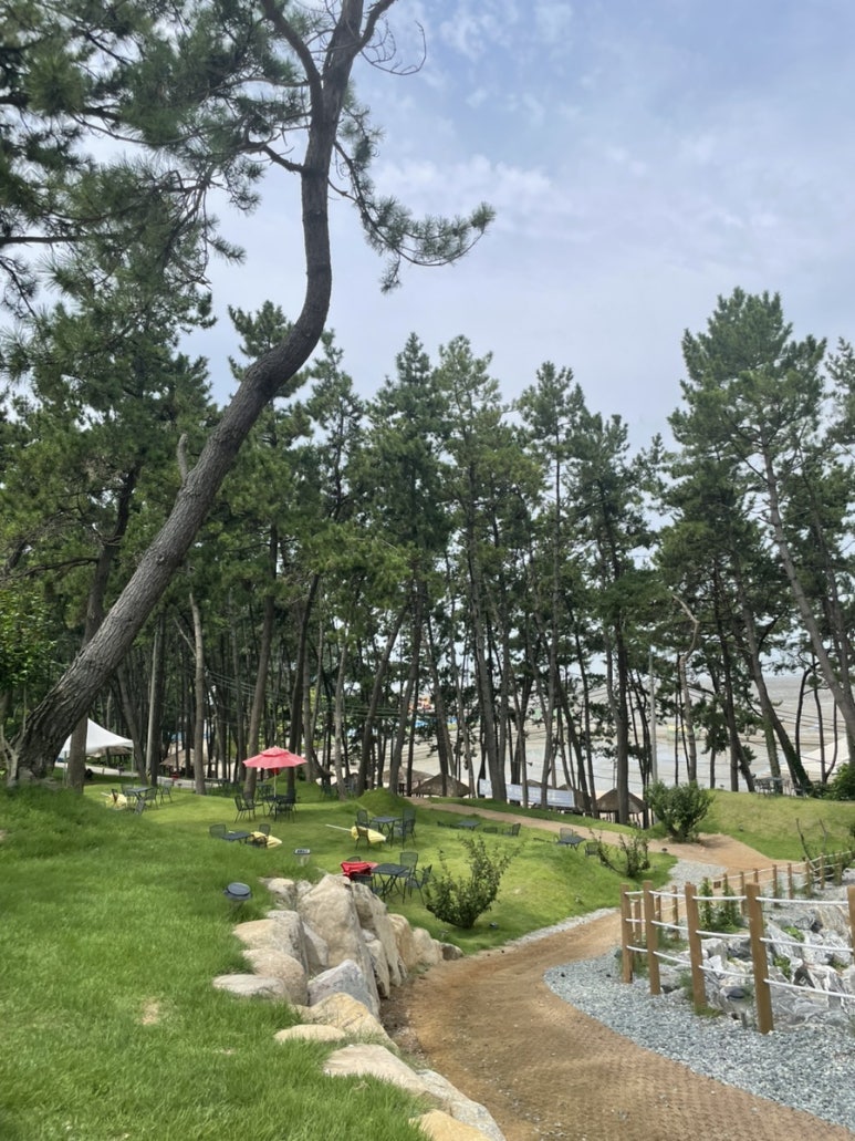 돌마레690 이미지