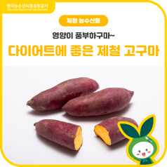 영양이 풍부하구마~ 다이어트에 좋은 제철 고구마🍠 바로가기