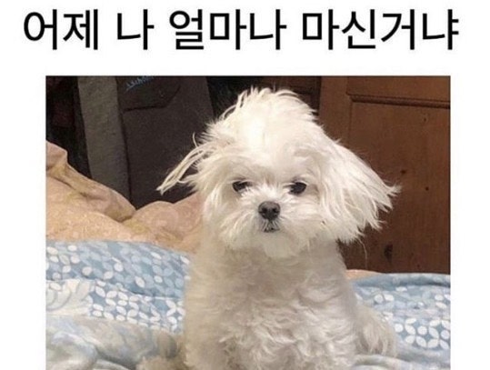 더팬더중화요리 이미지