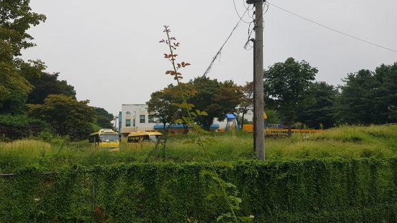 연성대학교부속유치원 이미지
