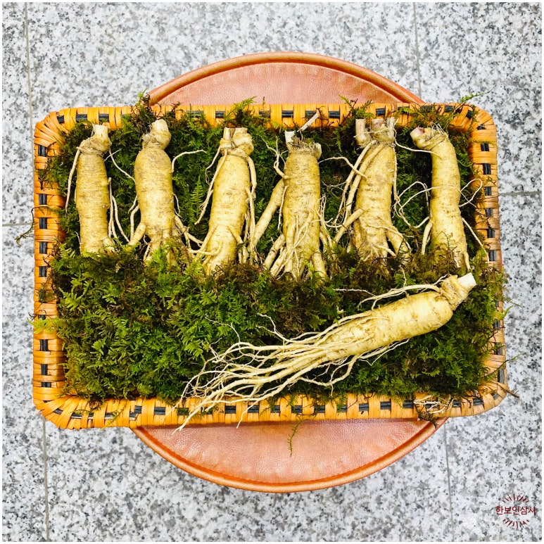 풍기인삼시장 한보인삼사 이미지