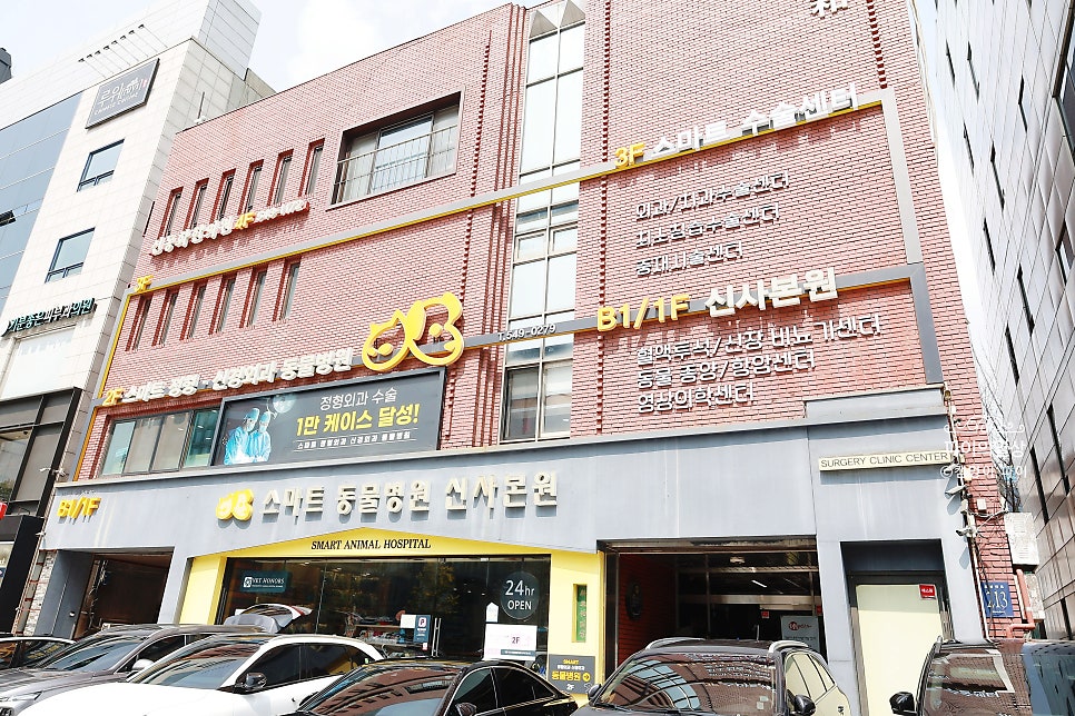 강남 심장초음파 건강검진, 스마트동물병원 후기 — 사진 5