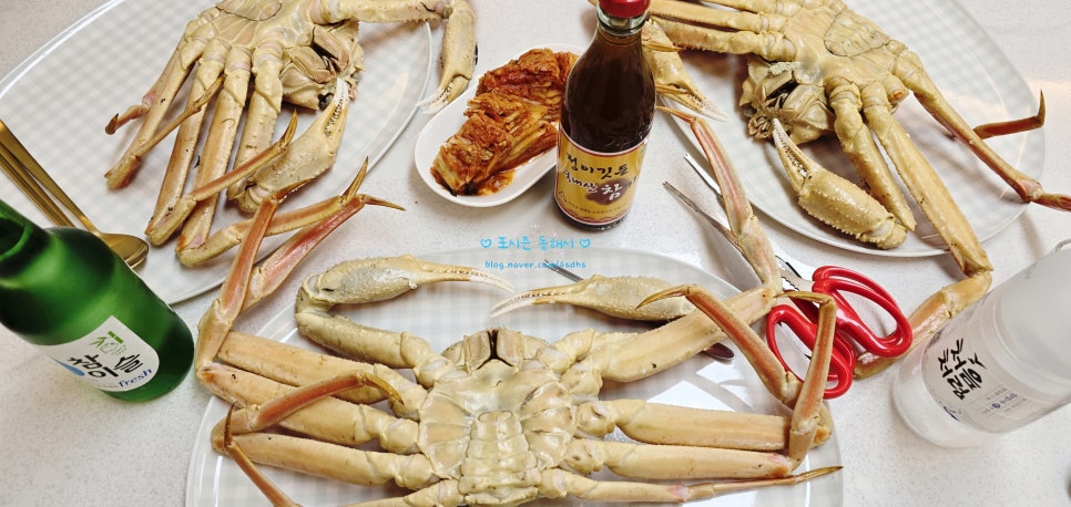 어촌댁 이미지
