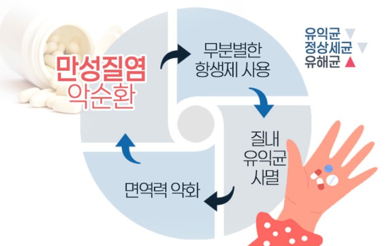 에비뉴여성의원 이미지