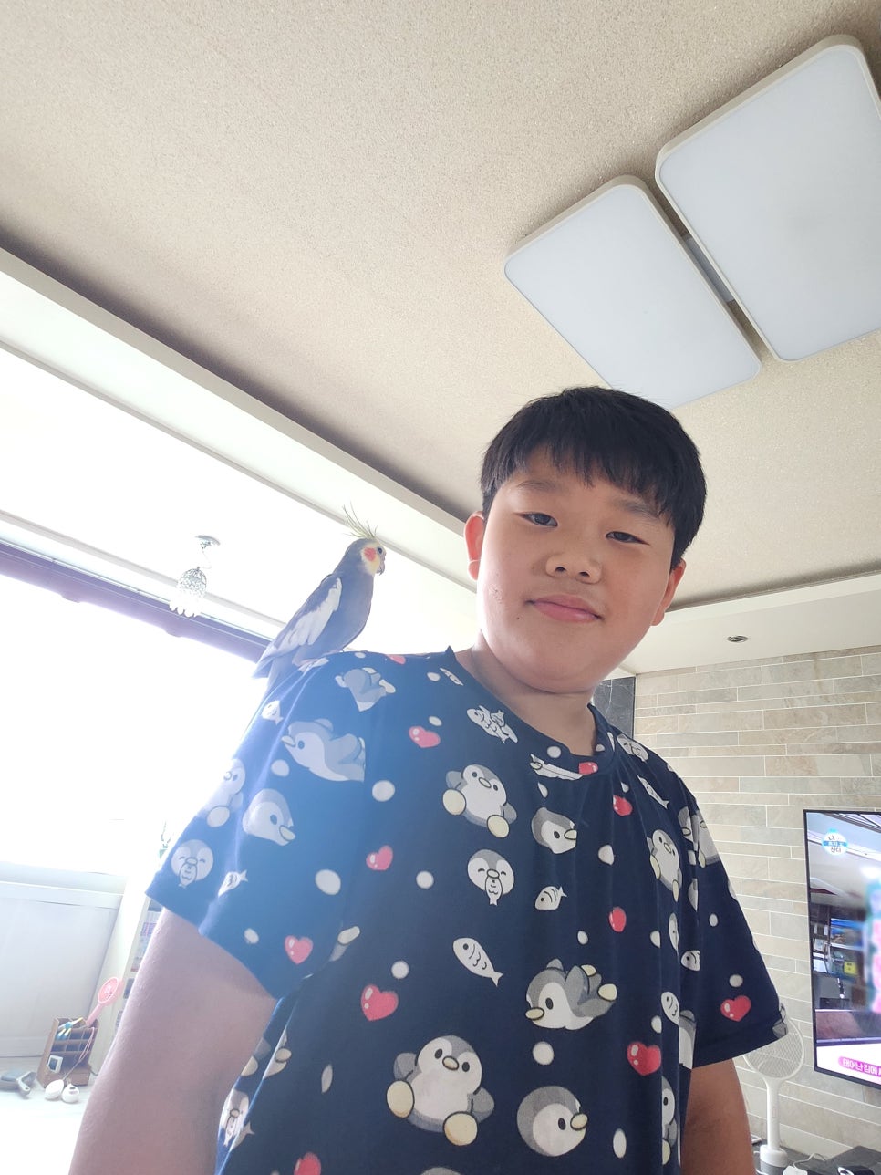 윤브로 이미지