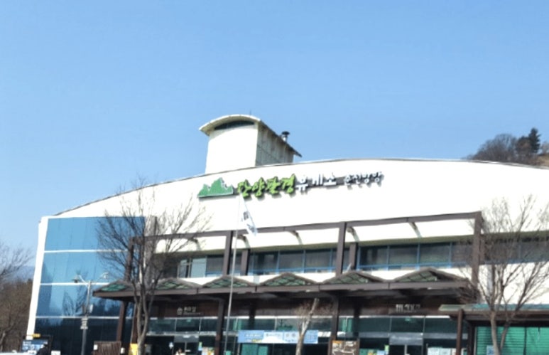 미대이모 이미지