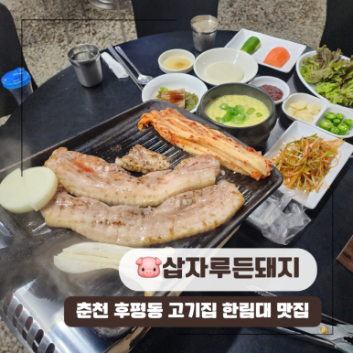 삽자루든돼지 이미지