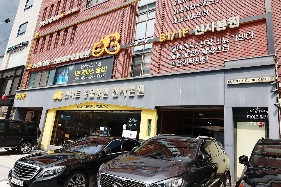 강남 심장초음파 건강검진, 스마트동물병원 후기 — 사진 2