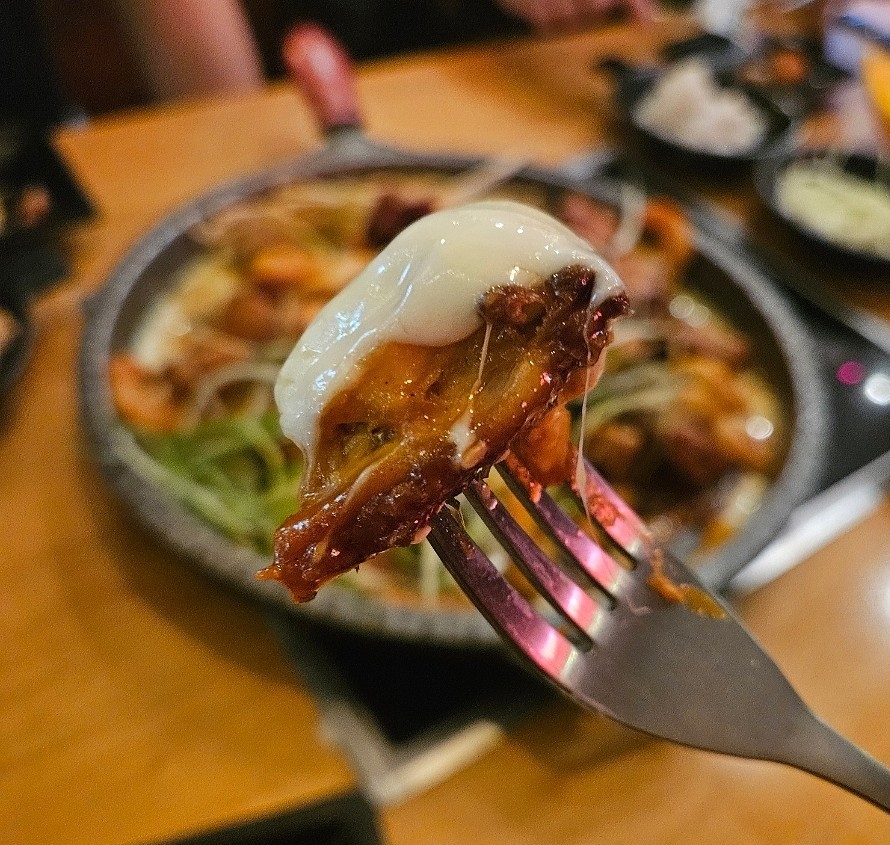 바비후 이미지