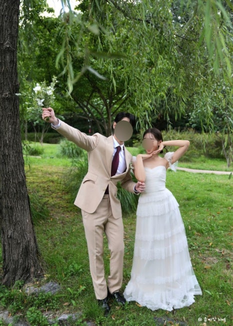 모드니숲 이미지