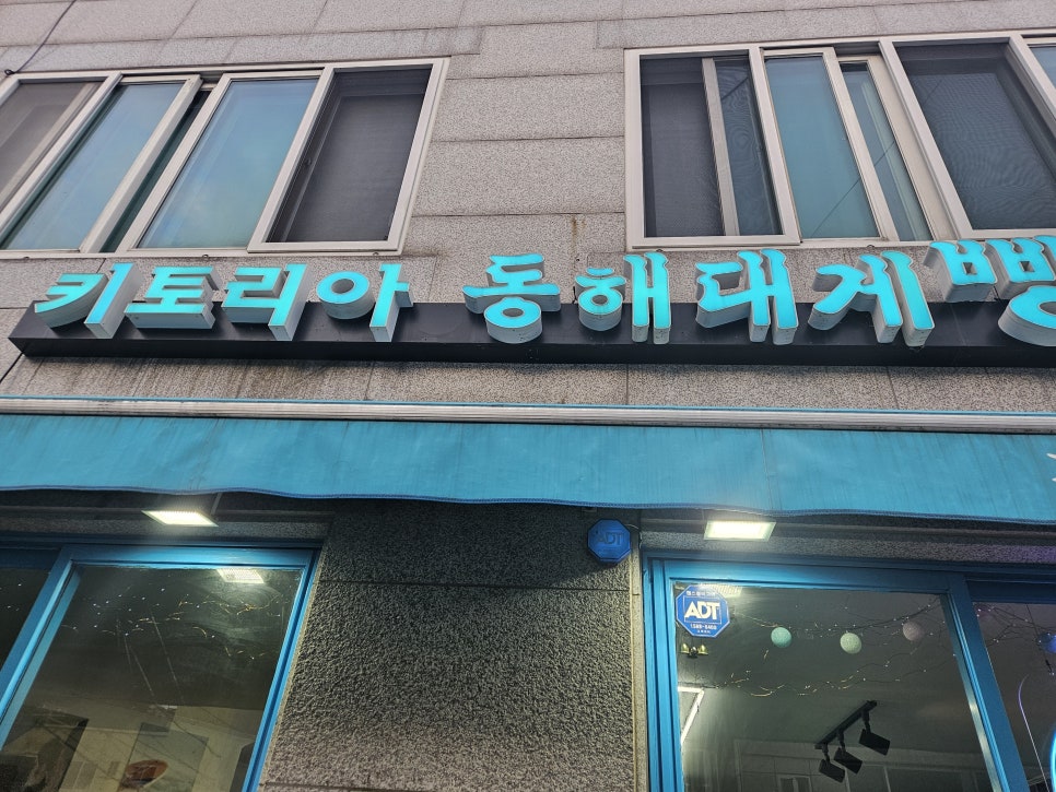 키토리아 이미지