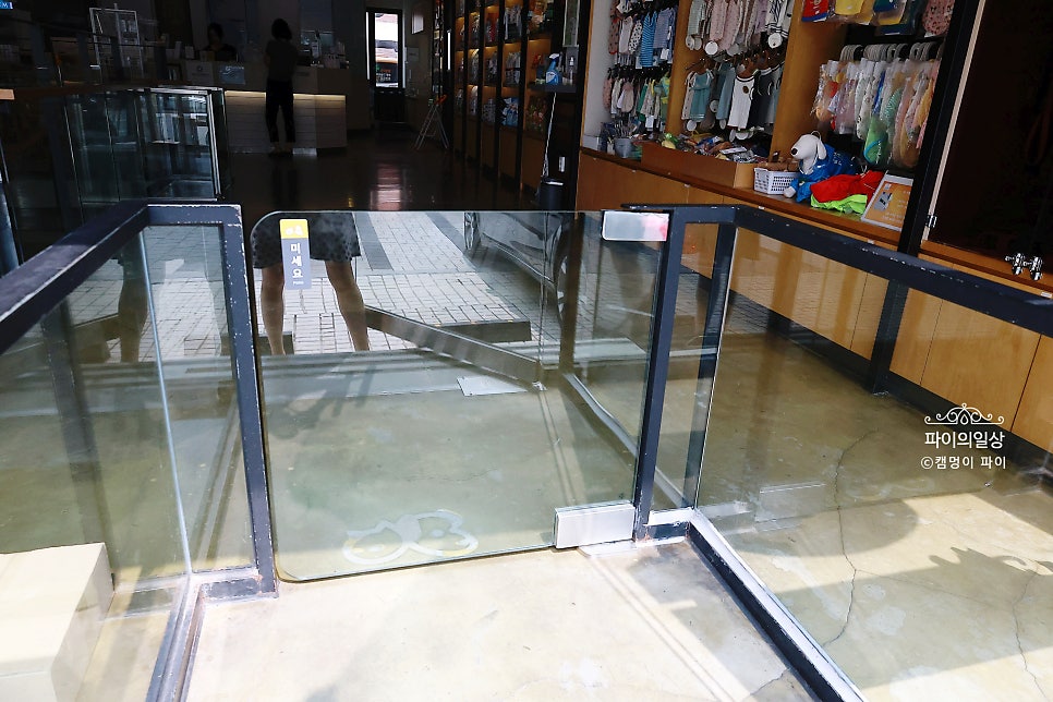 강남 심장초음파 건강검진, 스마트동물병원 후기 — 사진 6