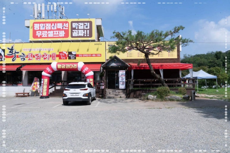 황금코다리안산 이미지