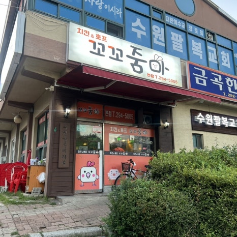 꼬꼬줌마 이미지