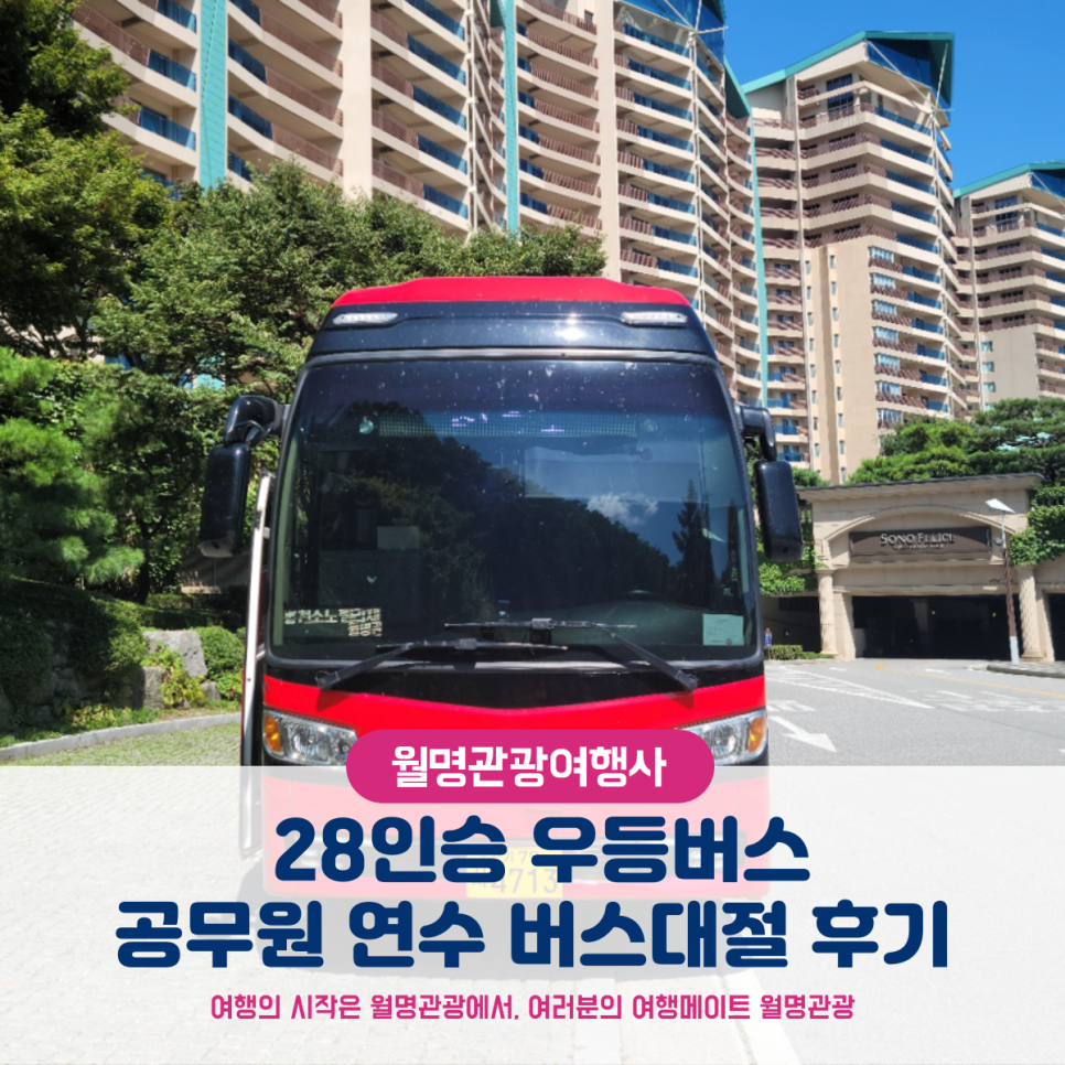 월명관광여행사 이미지