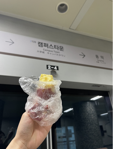 티와이짐 이미지