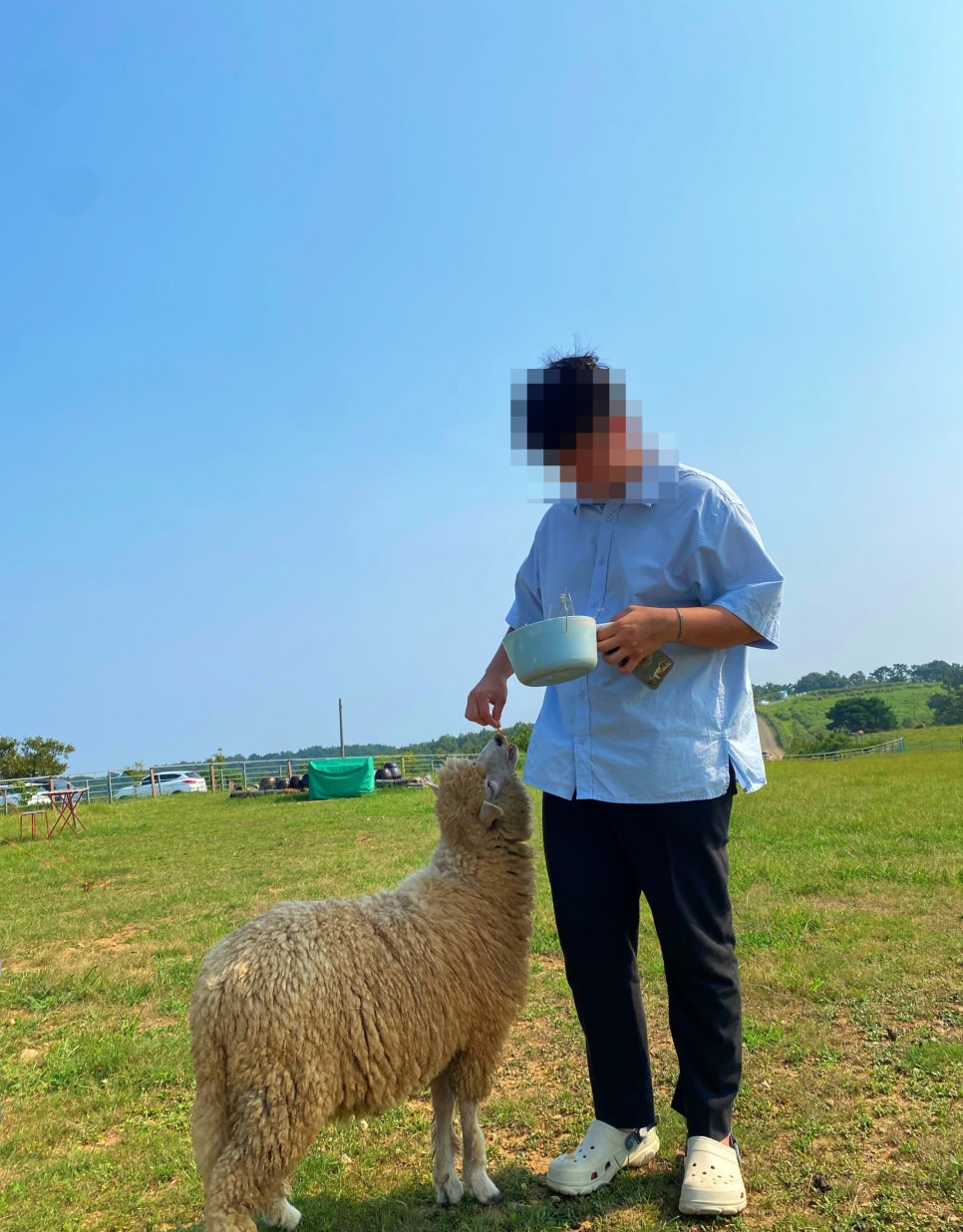 범서온천 자동차극장 이미지