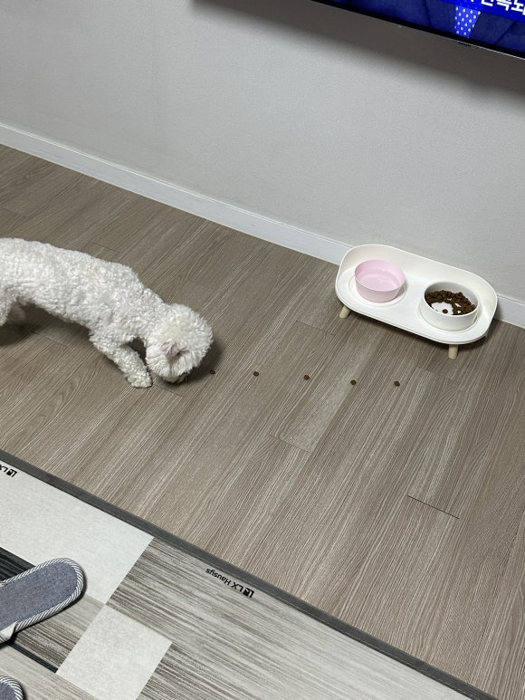 기억미음디귿 이미지