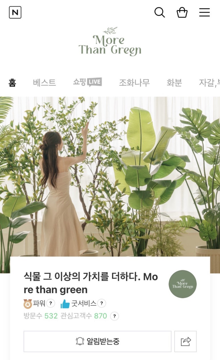 모어댄그린 이미지