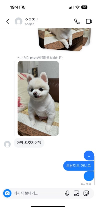 도담댕기 이미지