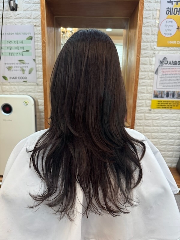 헤어코코 이미지