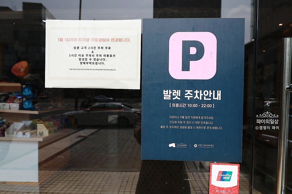 강남 심장초음파 건강검진, 스마트동물병원 후기 — 사진 4