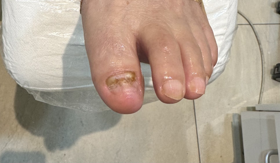 레푸스울산삼산점 이미지