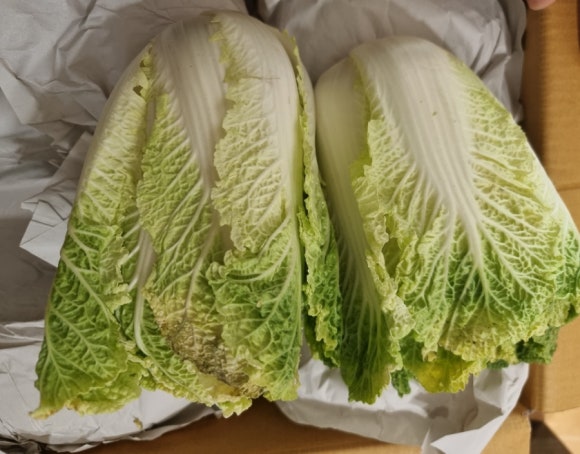 영암상회 이미지
