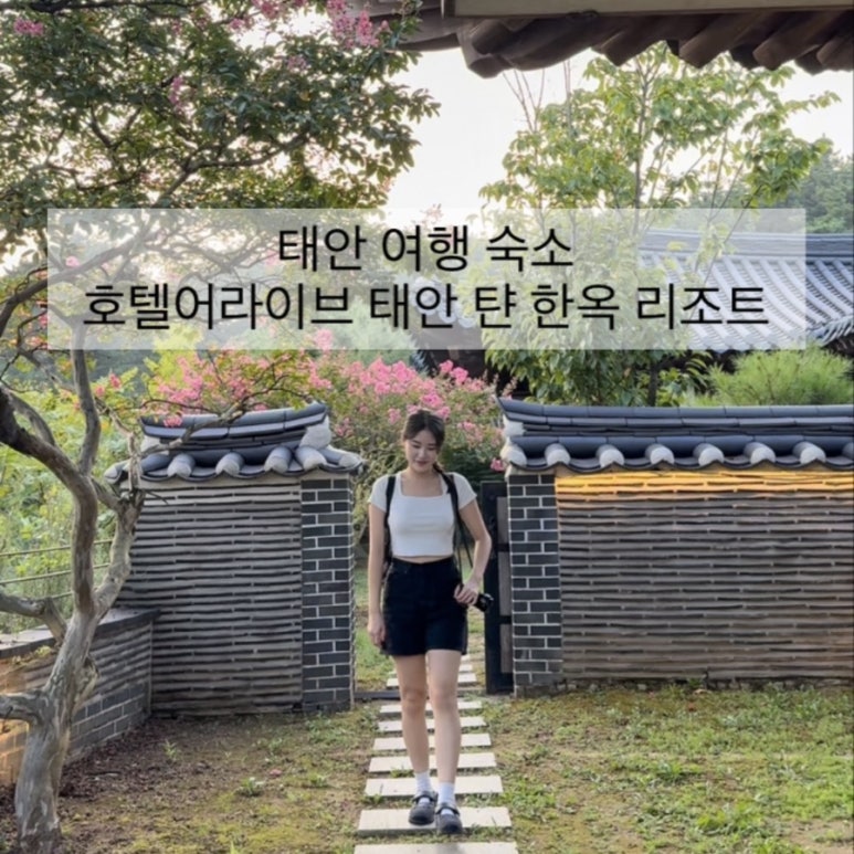 호텔어라이브 태안 탼 한옥비치리조트2 이미지