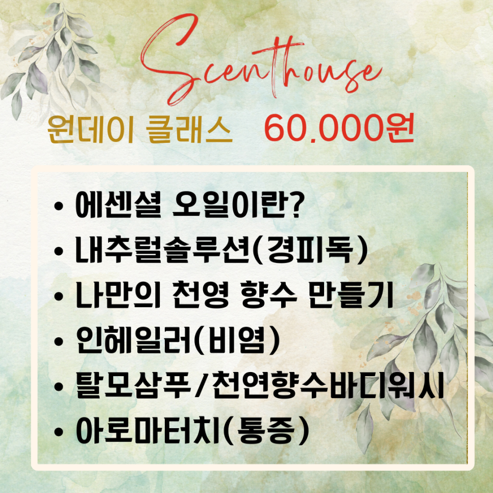 솔솔하우스 이미지