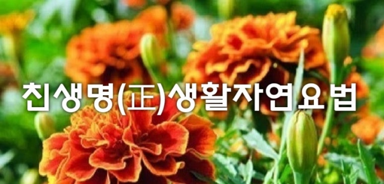 종근당건강 헬스벨스토리 의정부가능점 이미지