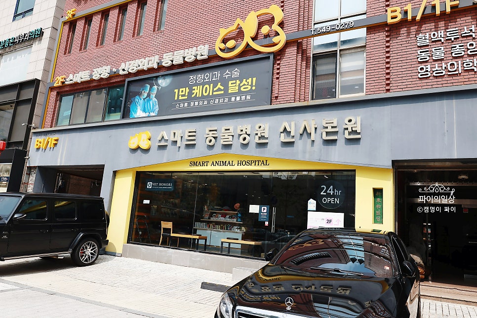 강남 심장초음파 건강검진, 스마트동물병원 후기 — 사진 3