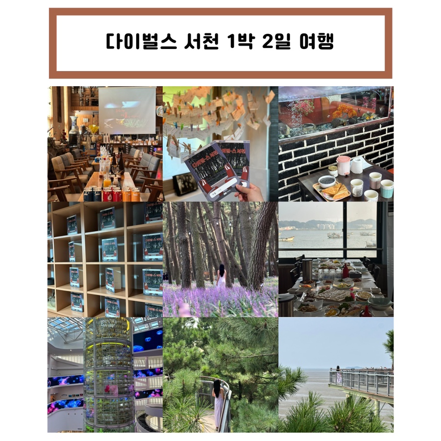 다이벌스 이미지
