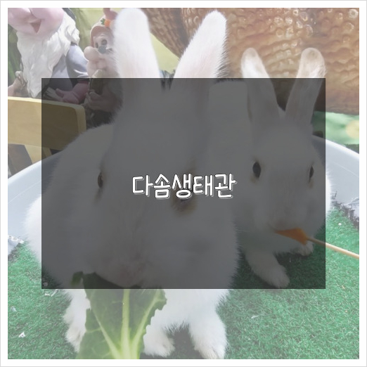 다솜생태관 이미지