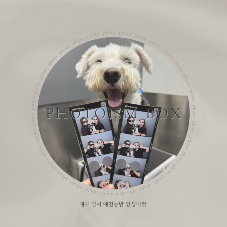 포토이즘박스범어4동점 이미지