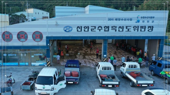 흑산도홍어전문 이미지