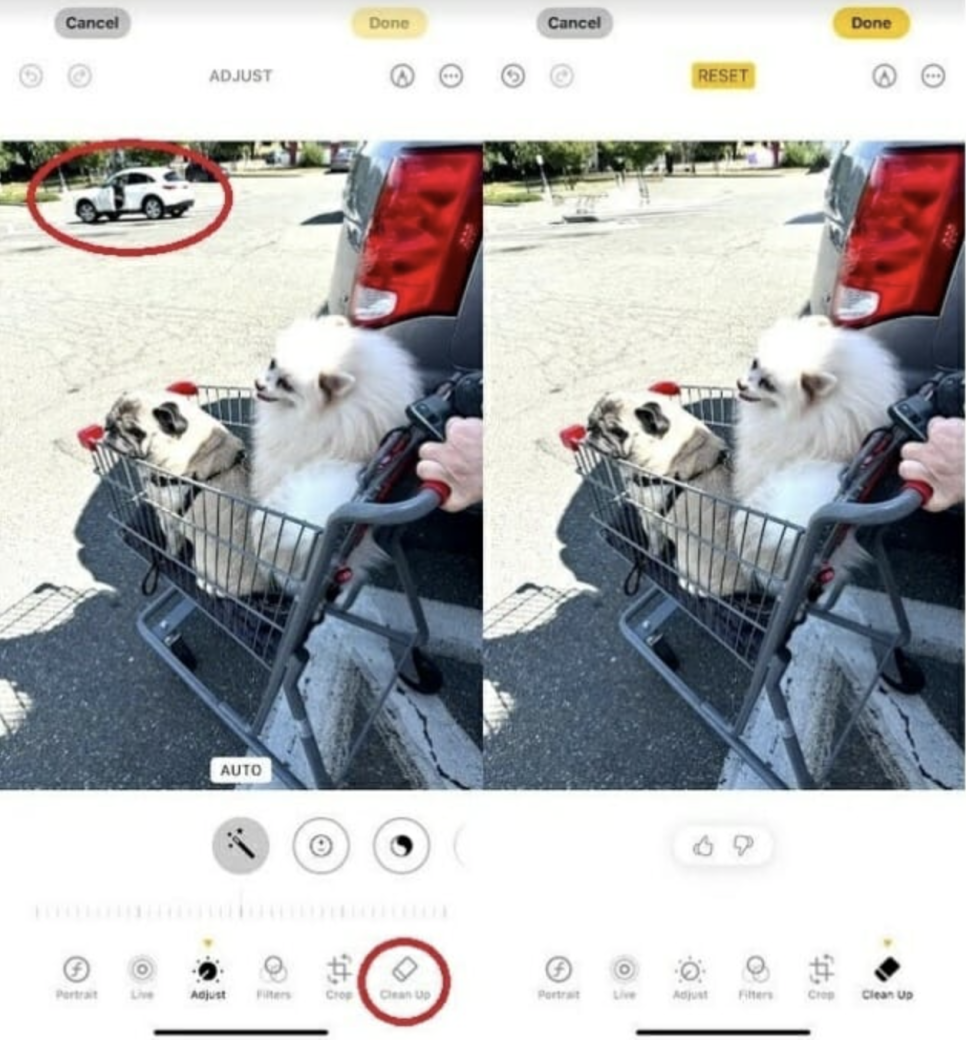 모든클린업 이미지