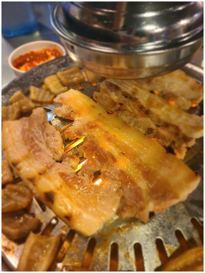 껍데기 이미지